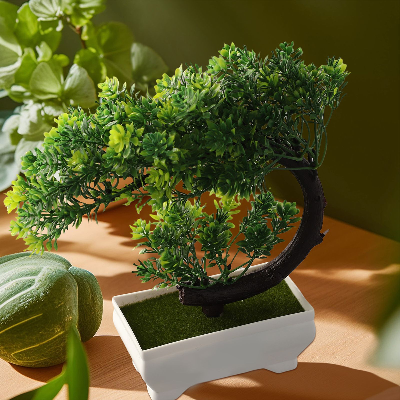 ต้นบอนไซประดับในกระถางพลาสติกส - Bonsai Garden For Desk บทวิจารณ์และราคา