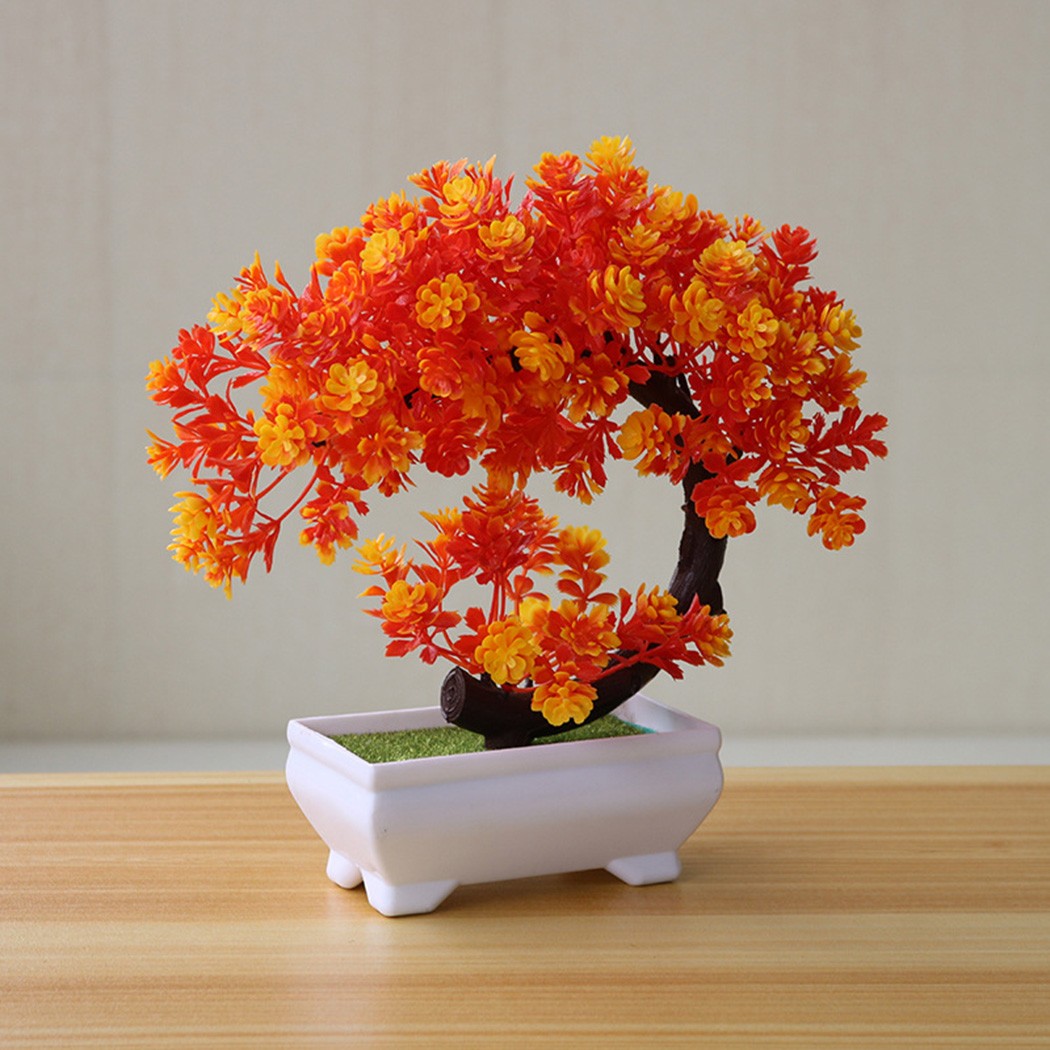 ต้นบอนไซประดับในกระถางพลาสติกส - Bonsai Garden For Desk บทวิจารณ์และราคา