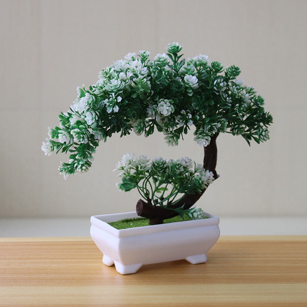ต้นบอนไซประดับในกระถางพลาสติกส - Bonsai Garden For Desk บทวิจารณ์และราคา